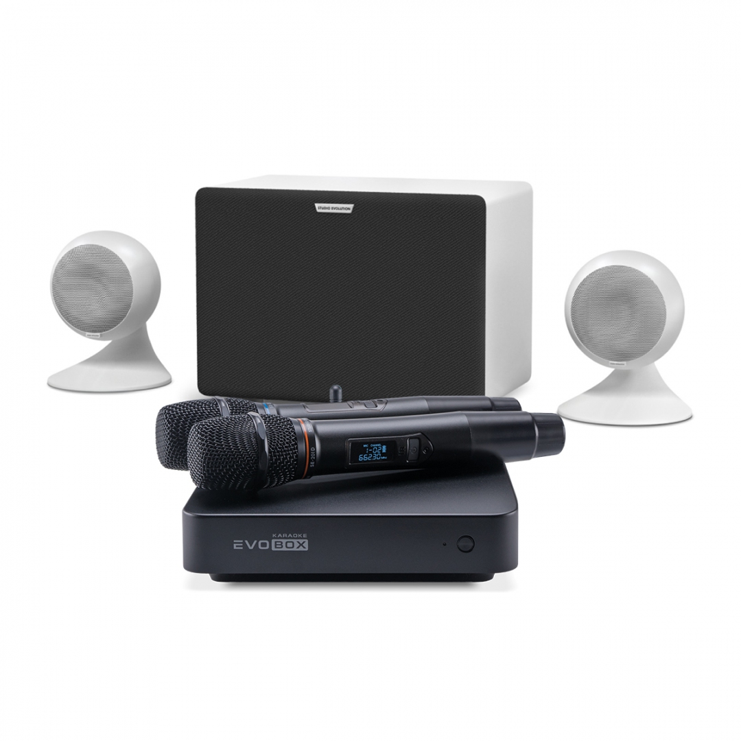 караоке-комплект EVOBOX Classic + EvoSound Sphere 2.1 в Башкортостане