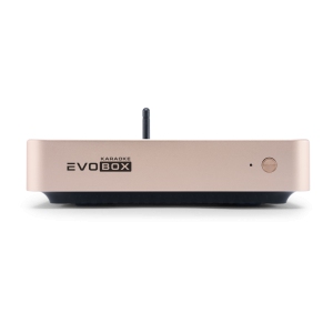 EVOBOX Classic караоке-система для дома в Башкортостане