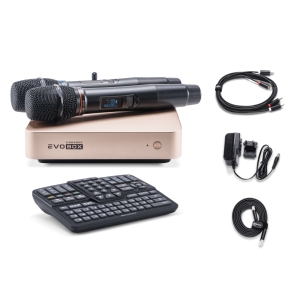 EVOBOX Classic караоке-система для дома в Башкортостане