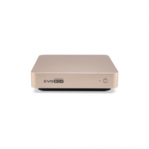 EVOBOX с микрофонами в Башкортостане